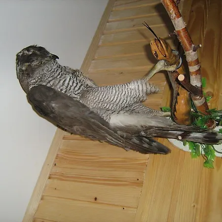 Guest house Guest House Grunyk Yaremche