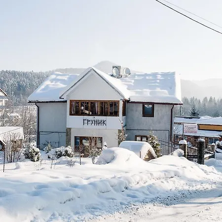 Guest house Guest House Grunyk 3*