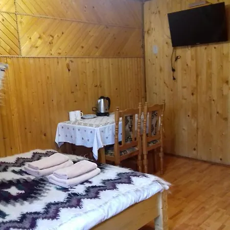 Guest House Grunyk 3*